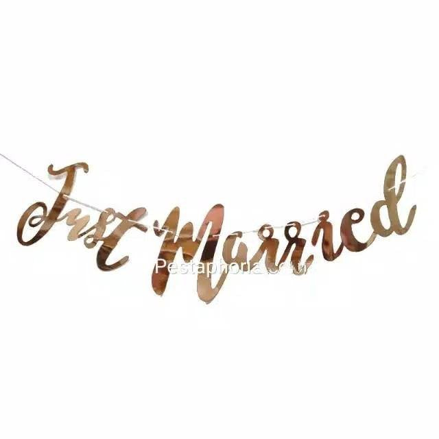 Banner Just Married Latin Laser Cut Sambung Warna Rose Gold