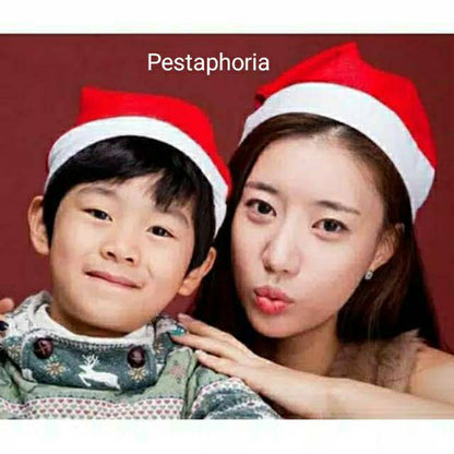Topi Santa Claus / Topi Natal / Topi Christmas / Topi Sinterklas